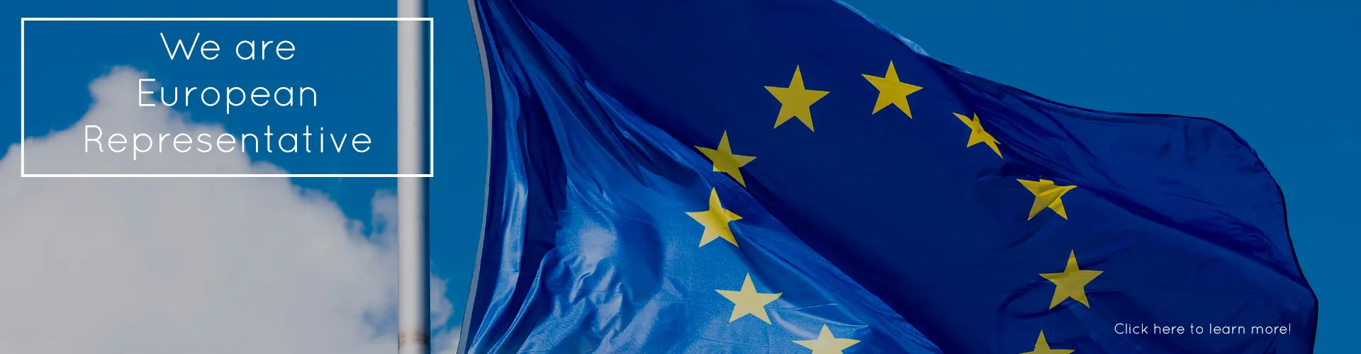 we are eruopean representative EUROPEAN FLAG