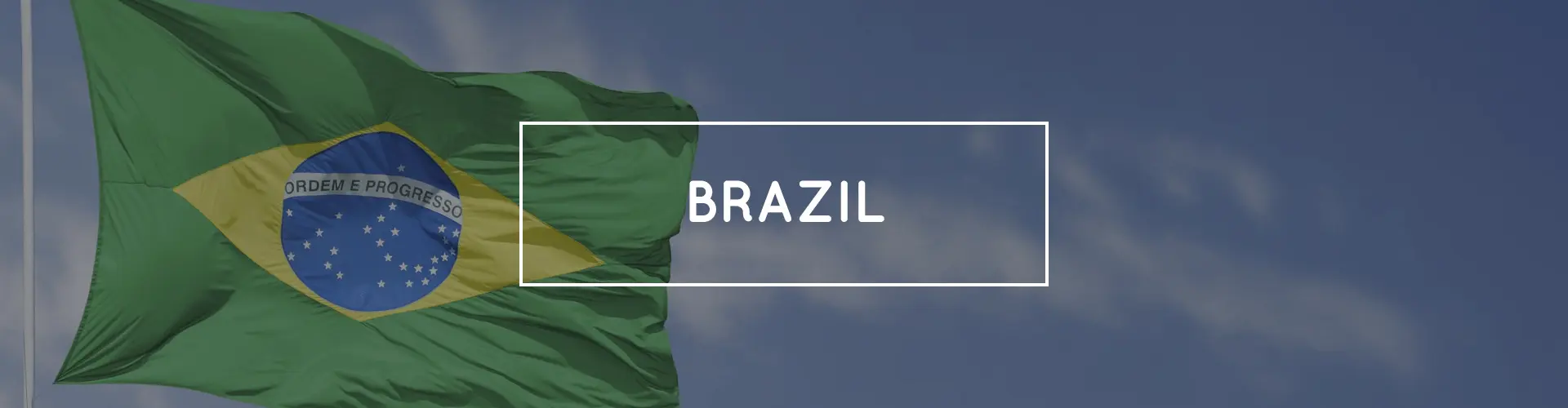 banner brazil flag