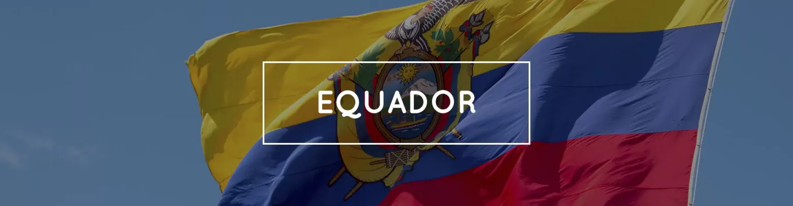 Banner Bandeira Equador