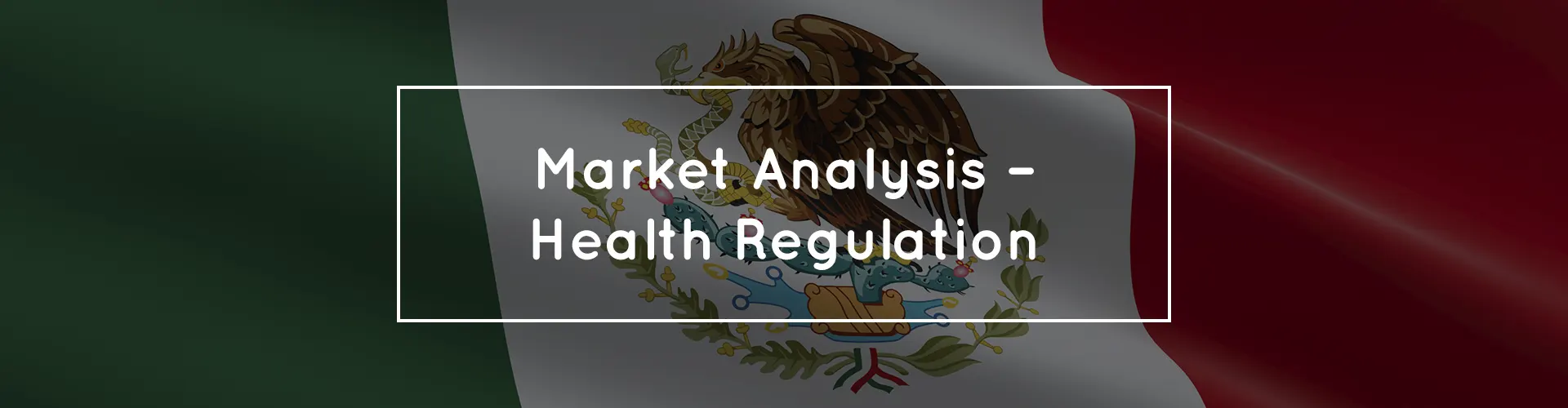 Banner Service Mexico Market Analysis
