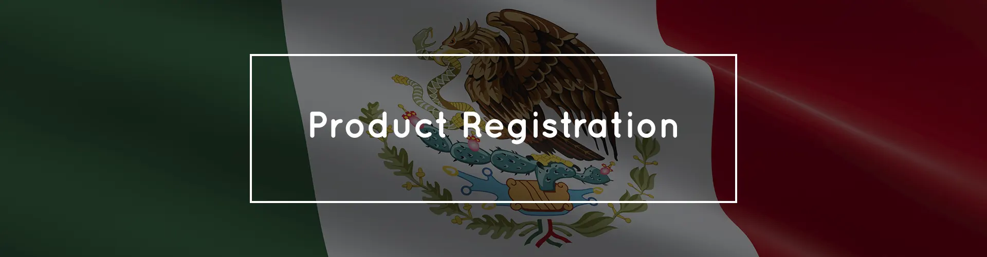 Banner Service Mexico Product Registration