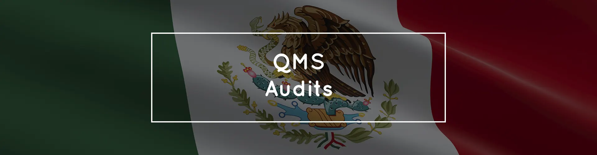 Banner Service Mexico QMS Audits