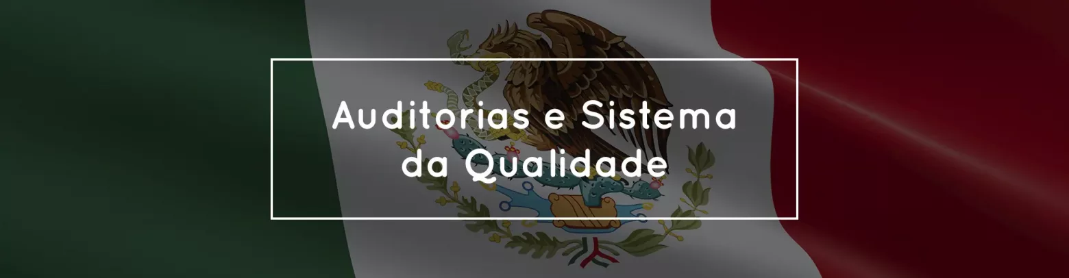 Banner Serviço México Auditorias