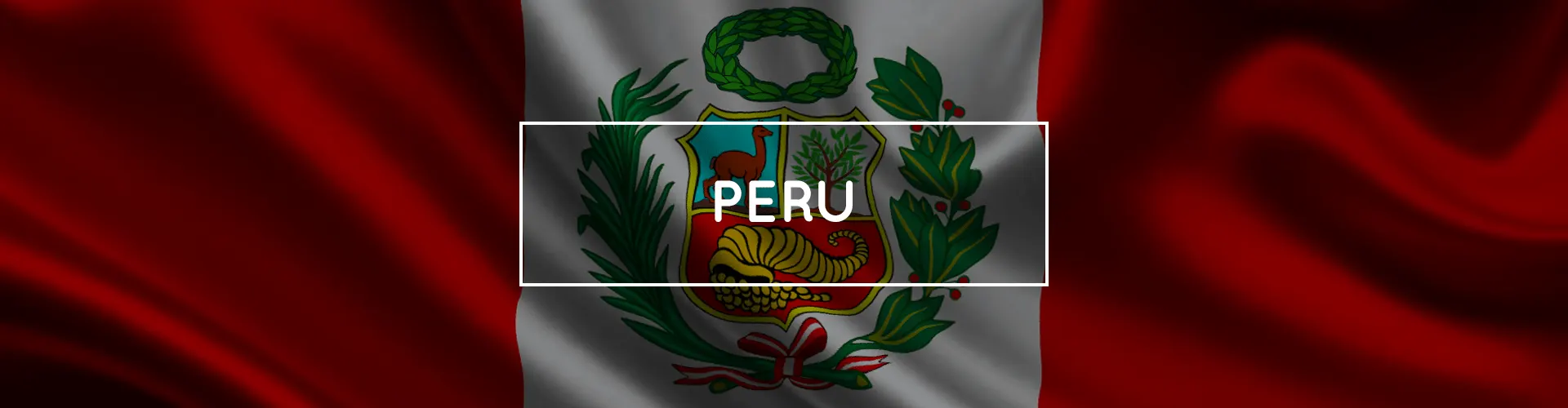 Banner Service Peru