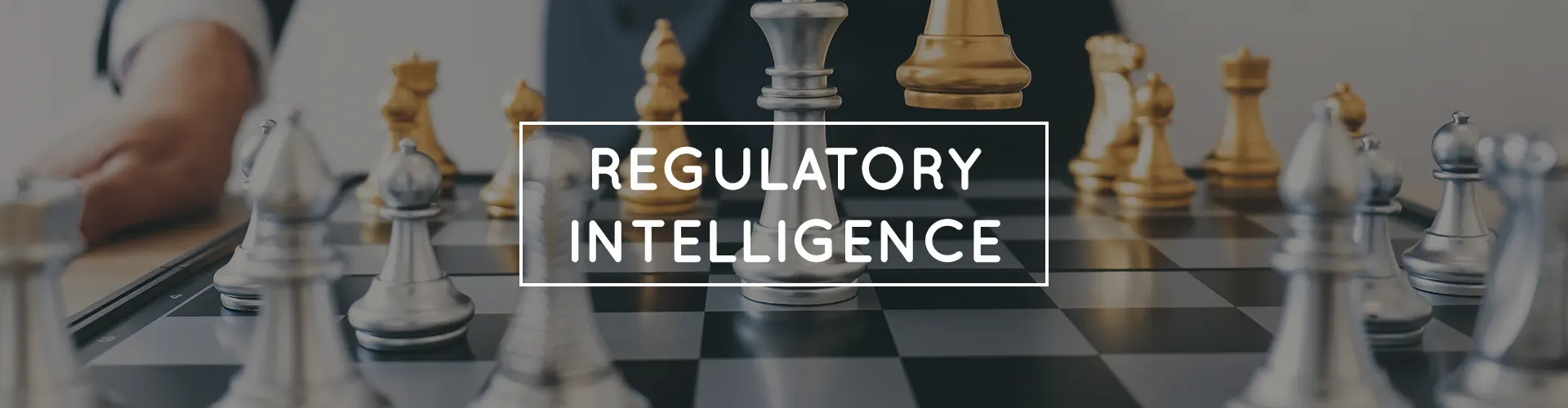 Regulatory Intelligence Passarini Group