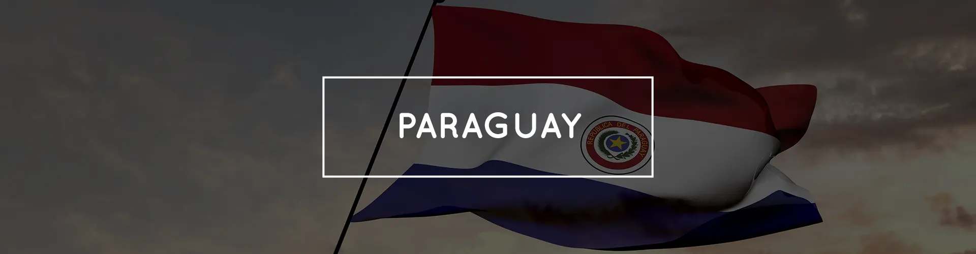 Paraguay Market Banner